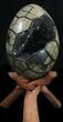 Septarian Dragon Egg Geode With Removable Section #33724-1